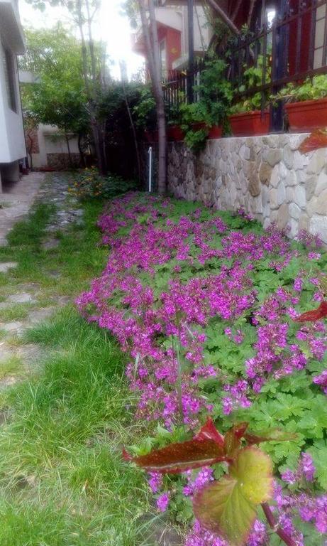 Nirvana Guest House Nesebar Buitenkant foto